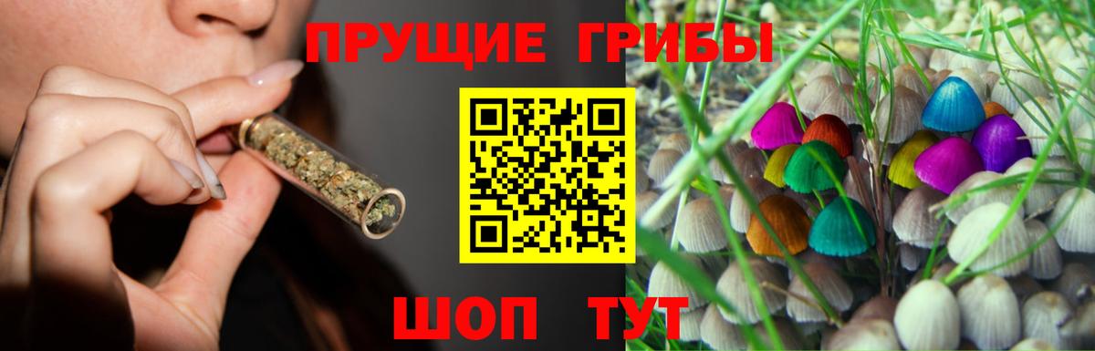 Псилоцибиновые грибы Psilocybine cubensis  Вход с VPN  Рубцовск  Псилоцибиновые грибы MAGIC MUSHROOMS 